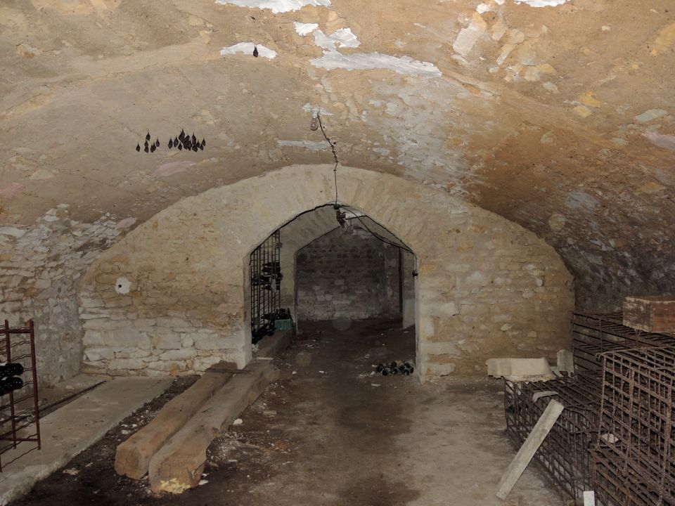Groupe de petits rhinolophes en hibernation dans une cave &agrave; Parigny-les-vaux (58) &copy; L. JOUVE