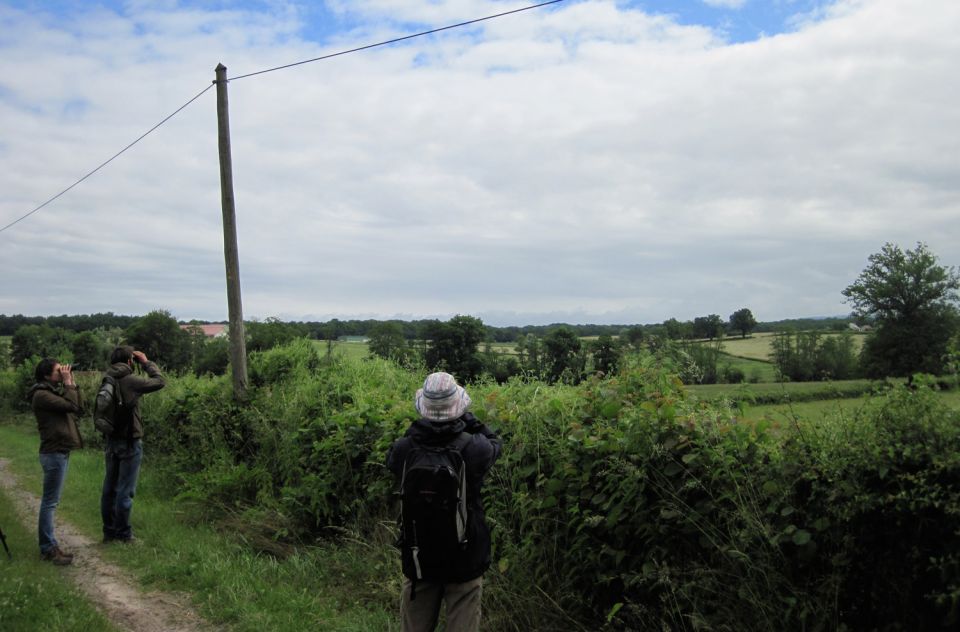 Week-end de prospection organis&eacute; en 2013 dans la Ni&egrave;vre (bas Morvan m&eacute;ridional et Pays de Four) &copy; C&eacute;cile D&eacute;troit