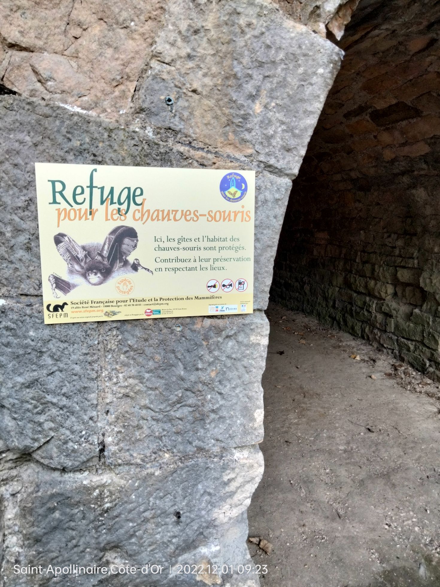 Refuge pour les chauves-souris du fort de La Redoute © Commune de Saint-Apollinaire