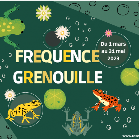 Fréquence Grenouille 2023 @© Conservatoire d'espaces naturels