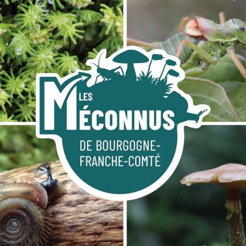 Les Méconnus de Bourgogne-Franche-Comté @Les Méconnus de Bourgogne-Franche-Comté