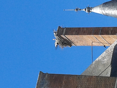 locataires fortunés